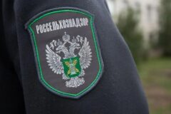 Объем экспорта томского рапсового жмыха