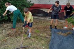 Трудоустройство несовершеннолетних в Томской области