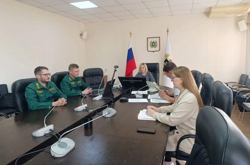 Восстановление лесов Томской области