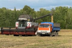 Правила субсидирования крестьянско-фермерских хозяйств