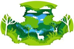 Расходы компаний Томской области на экологию