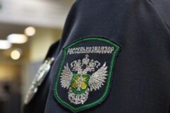 Партия арбузов из Казахстана
