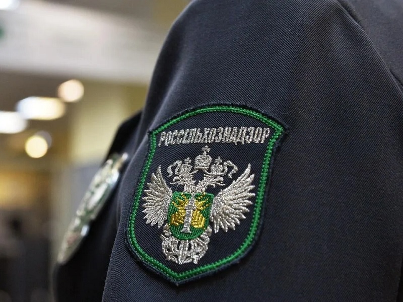Партия арбузов из Казахстана
