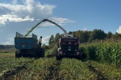 Уборка кукурузы в Томской области